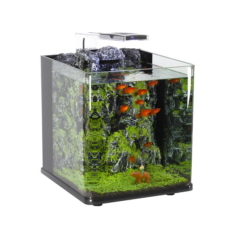 Wielkość akwarium a obsada