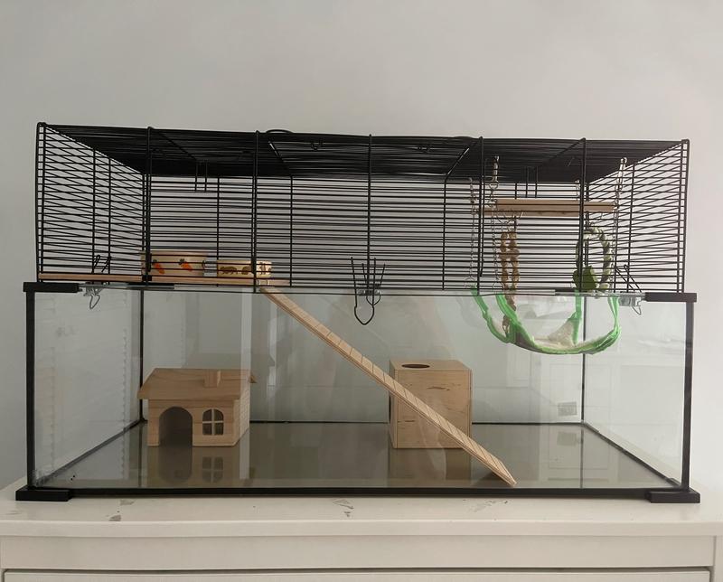 Akwarium dla chomika