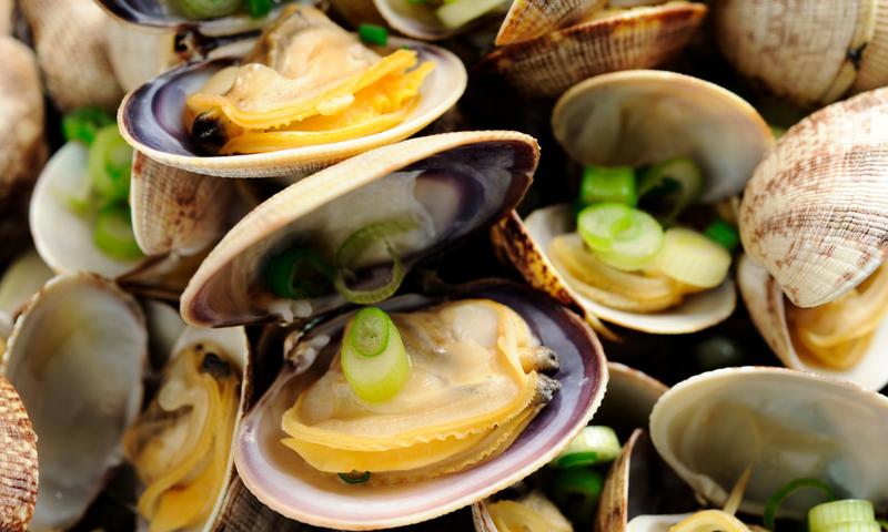 Naturalne oczyszczanie wód przez małże