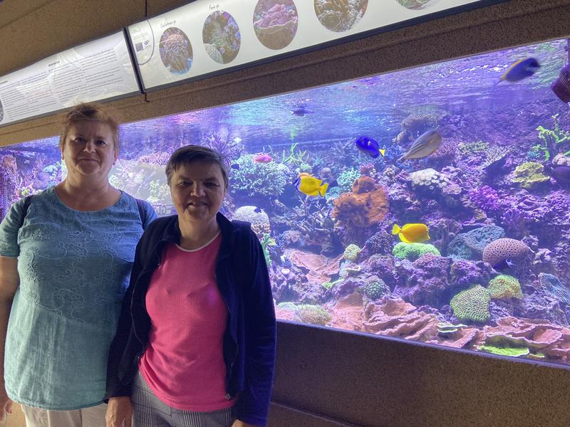 Podwodny świat gatunki