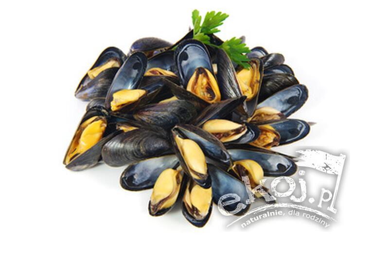 Wpływ małży na inne gatunki