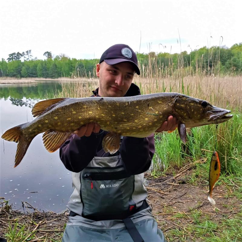 Wybór przynęt na szczupaka