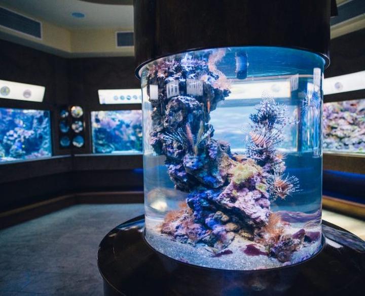 Zdjęcia eksponatów oceanarium