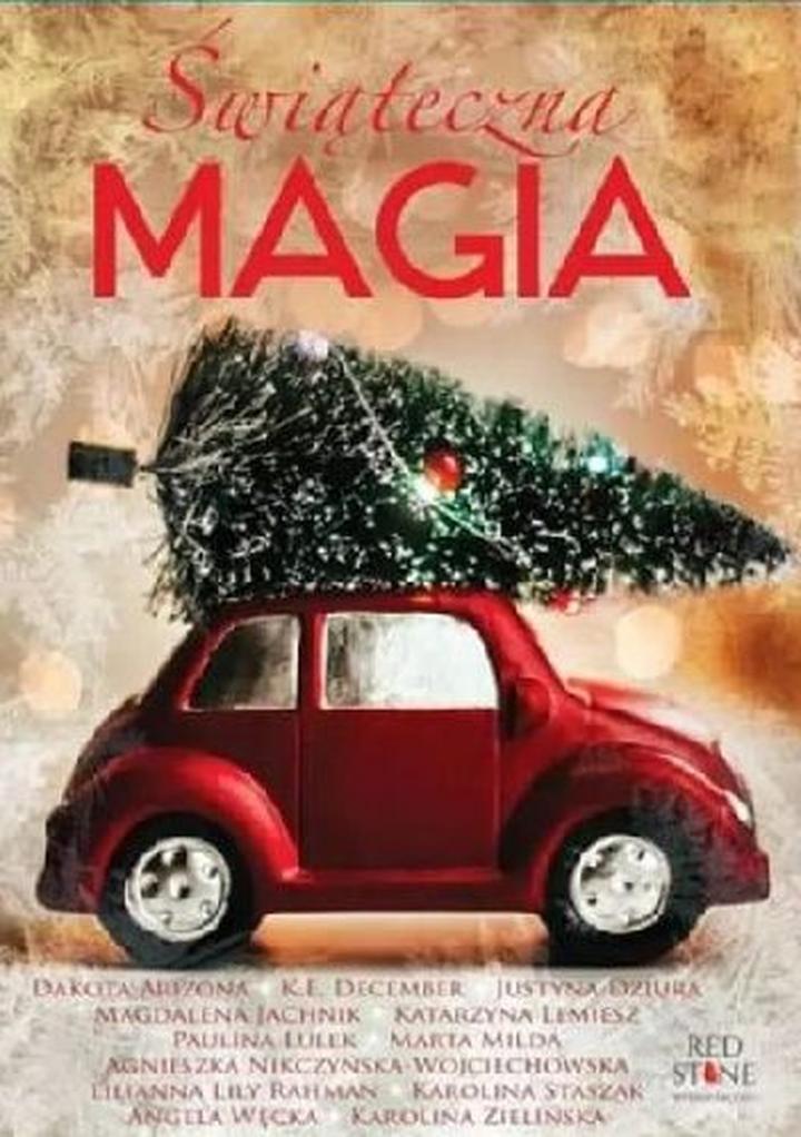 Zimowa miłość na ekranie