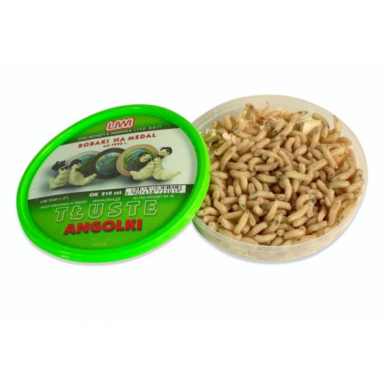 Gdzie znaleźć najlepsze miejsce na zakup robaków na ryby? Sprawdzone sklepy i lokalizacje