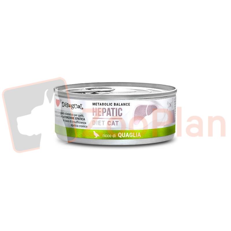 Jakie smakołyki wybiera przepiórka? Odkryj dietę tych ptaków w hodowli i naturze