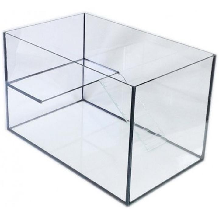 Komfort i bezpieczeństwo chomika: jak stworzyć idealne akwarium dla twojego pupila