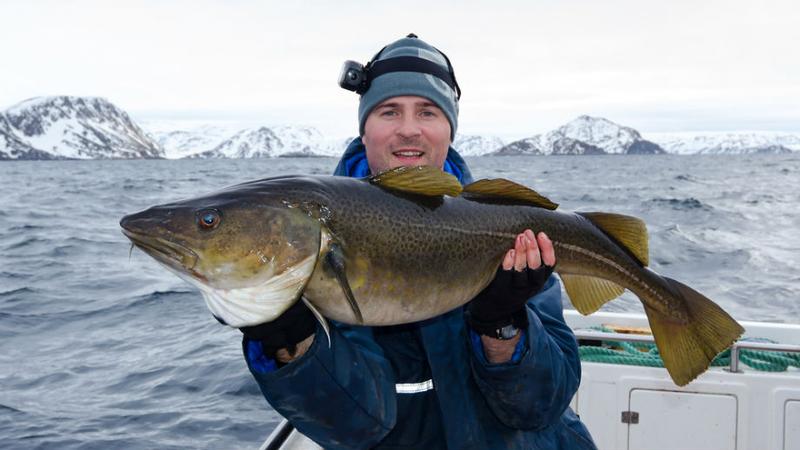 Najlepsze kamery na ryby – kompleksowy test sprzętu wędkarskiego