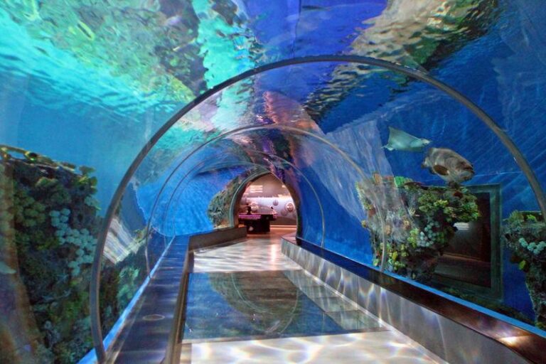 Odkryj magiczny świat Oceanarium w Kopenhadze – Atrakcje i cenne wskazówki dla odwiedzających
