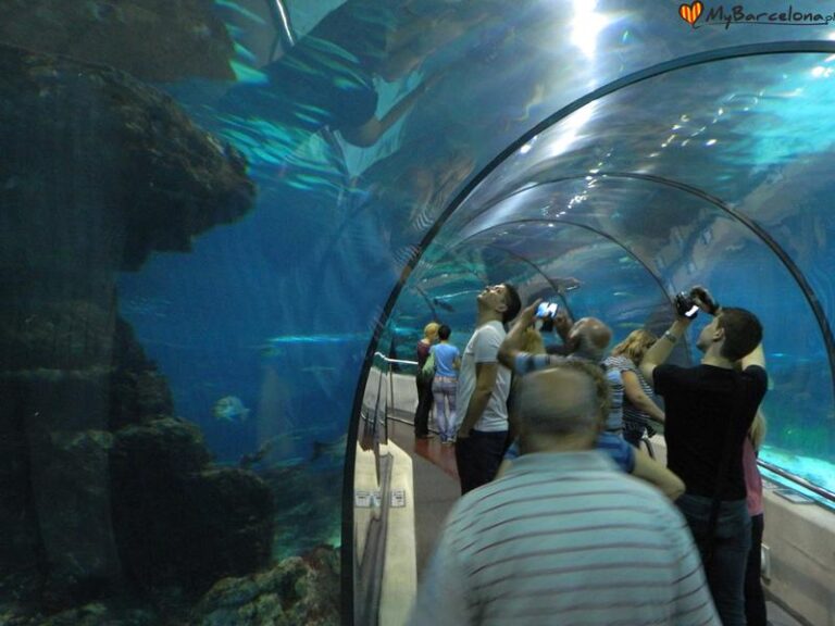 Odkryj magię oceanarium w Barcelonie – niezapomniane atrakcje dla całej rodziny