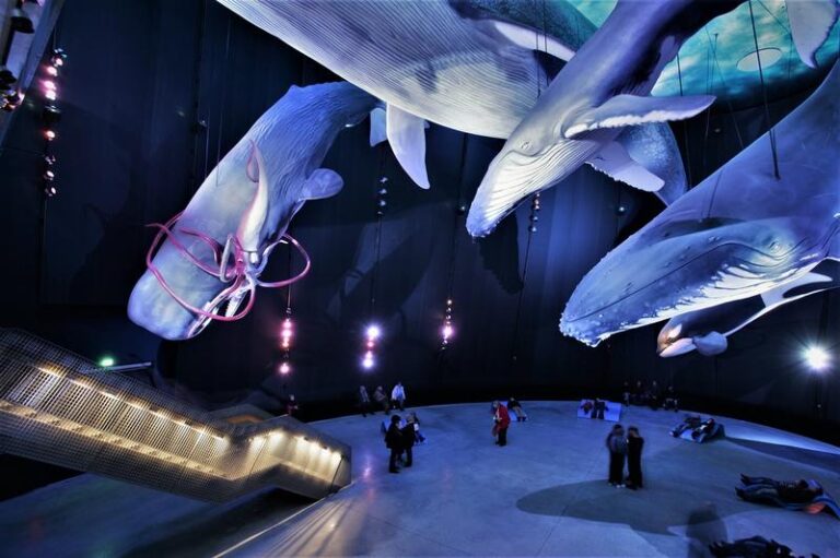 Odkryj magię podwodnego świata w Ozeaneum w Stralsundzie – największym oceanarium w Niemczech
