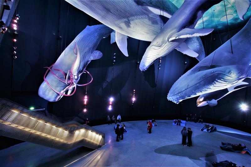 Odkryj magię podwodnego świata w Ozeaneum w Stralsundzie – największym oceanarium w Niemczech