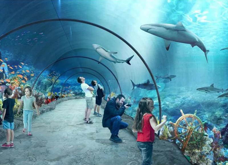 Odkryj piękno oceanarium w Łodzi: fascynujące atrakcje i edukacja dla całej rodziny