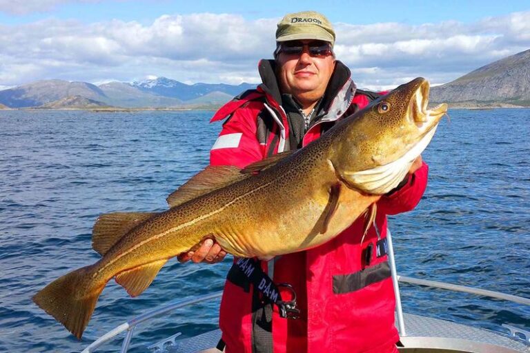 Odkryj wspaniałe połówki: wyjazd na ryby do Norwegii, ceny i niezapomniane wyprawy