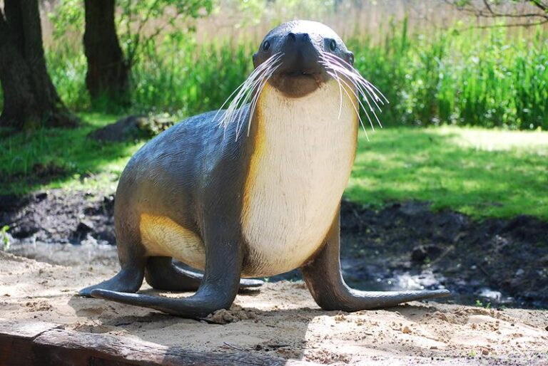 Prehistoryczne oceanarium: zanurz się w niezwykły świat morskich gadów