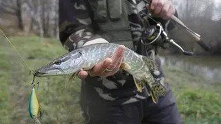 Skuteczne techniki łowienia szczupaka na spinning – niezbędne porady dla wędkarzy