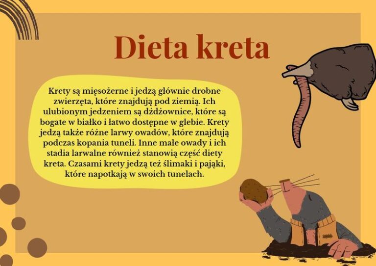 Tajemnice diety kreta: jak jego żywienie wpływa na nasz ogród?