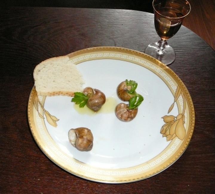 Cykl życiowy winniczków