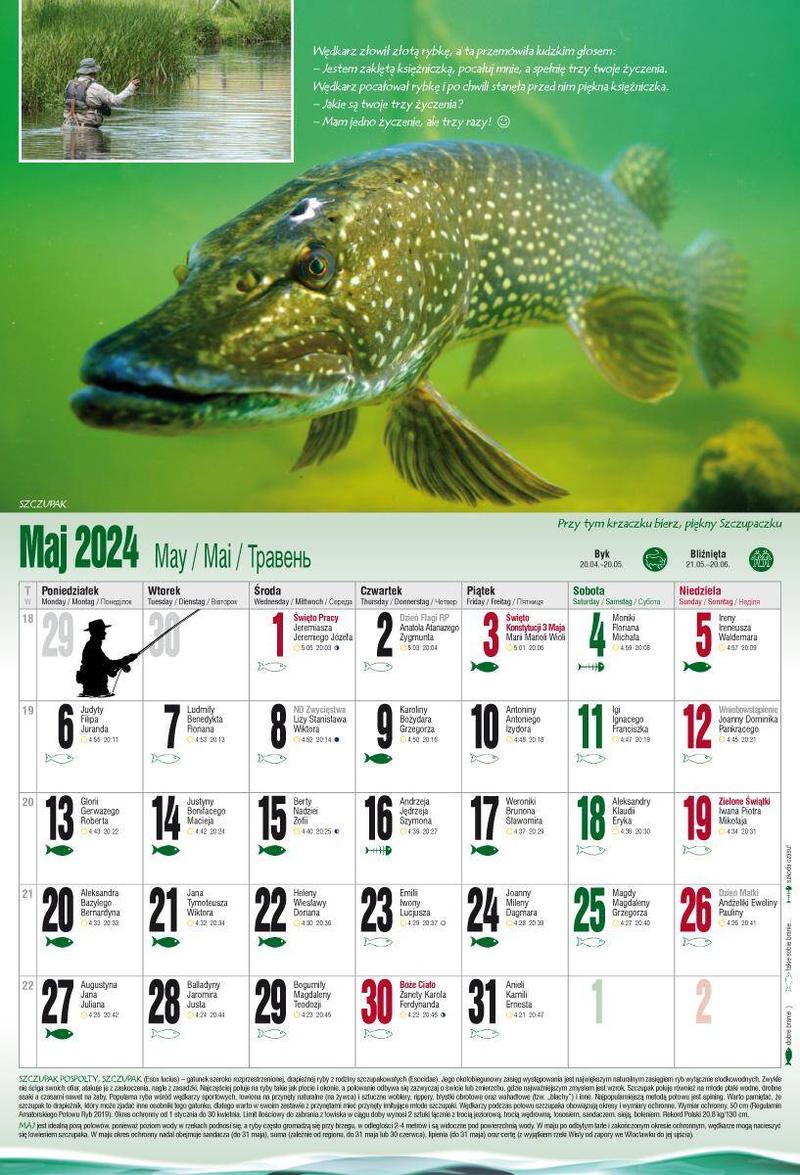 Cykle żerowania ryb