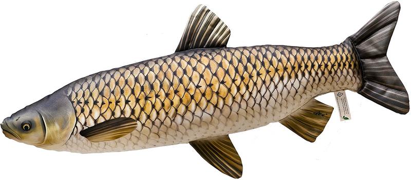 Dieta amura w naturze