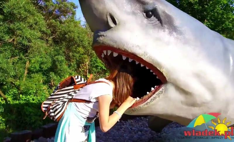 Edukacja i zabawa w oceanarium