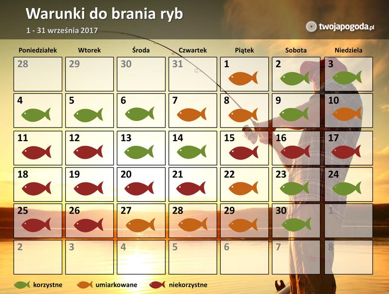 Kalendarz brań ryb 2022