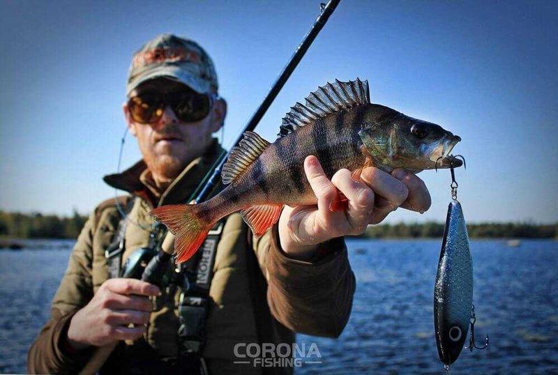 Najlepsze przynęty na okonia