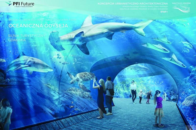 Niezwykłe gatunki morskie