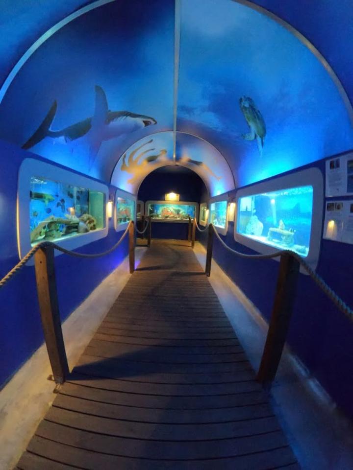 Oceanarium Łeba dla całej rodziny