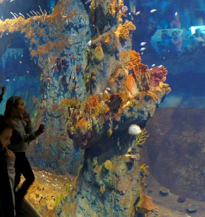 Oceanarium Małopolska przewodnik