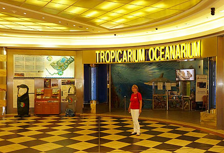 Oceanarium w Budapeszcie