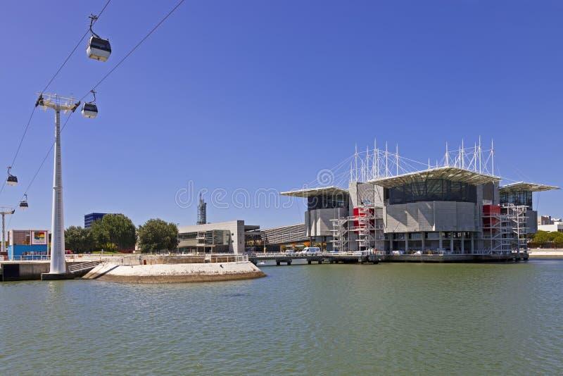 Oceanarium w Lizbonie przewodnik