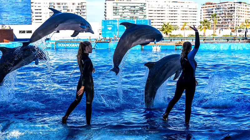 Oceanarium w Walencji