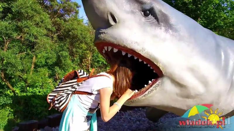 Oceanarium władysławowo atrakcja dla rodzin