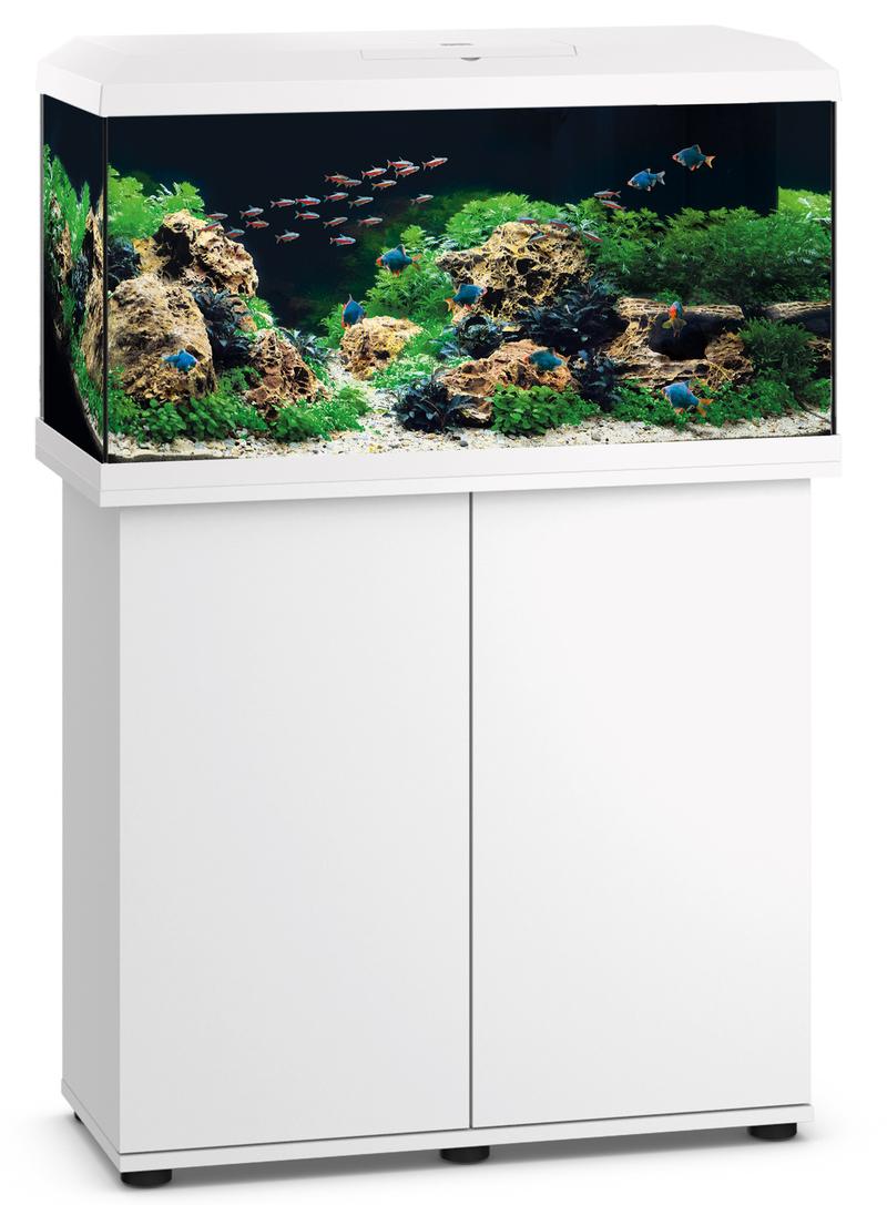 Platformy sprzedażowe dla akwarystów