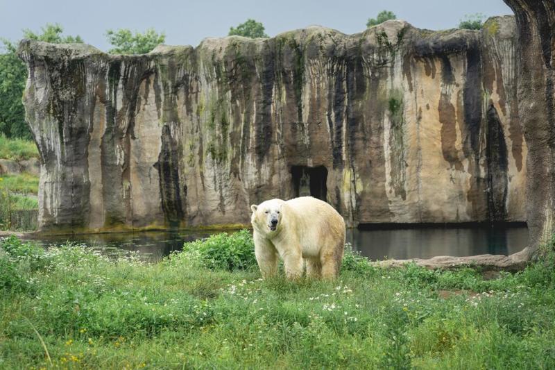 Podwodny świat i gatunki morskie