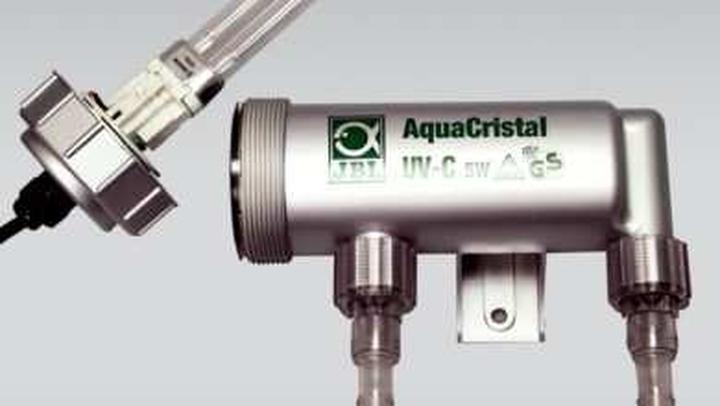 Przerybienie stawu a jakość wody