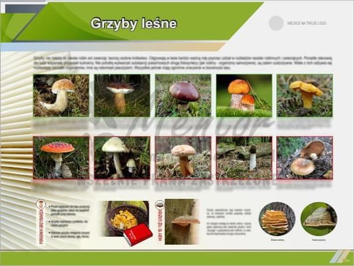 Rozmnażanie grzybów leśnych