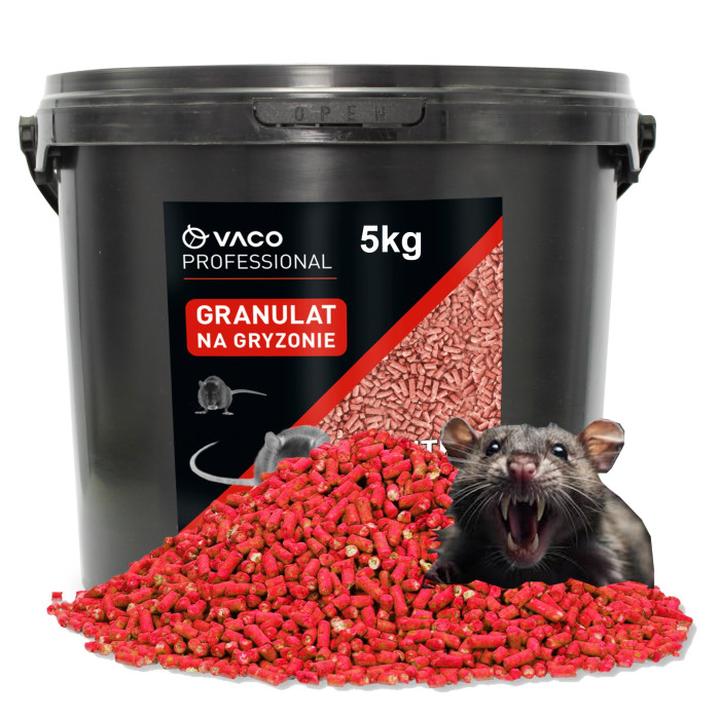 Rozmnażanie szczurów