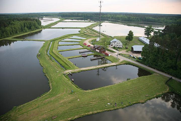 Sezonowe łowienie ryb Mazowieckie