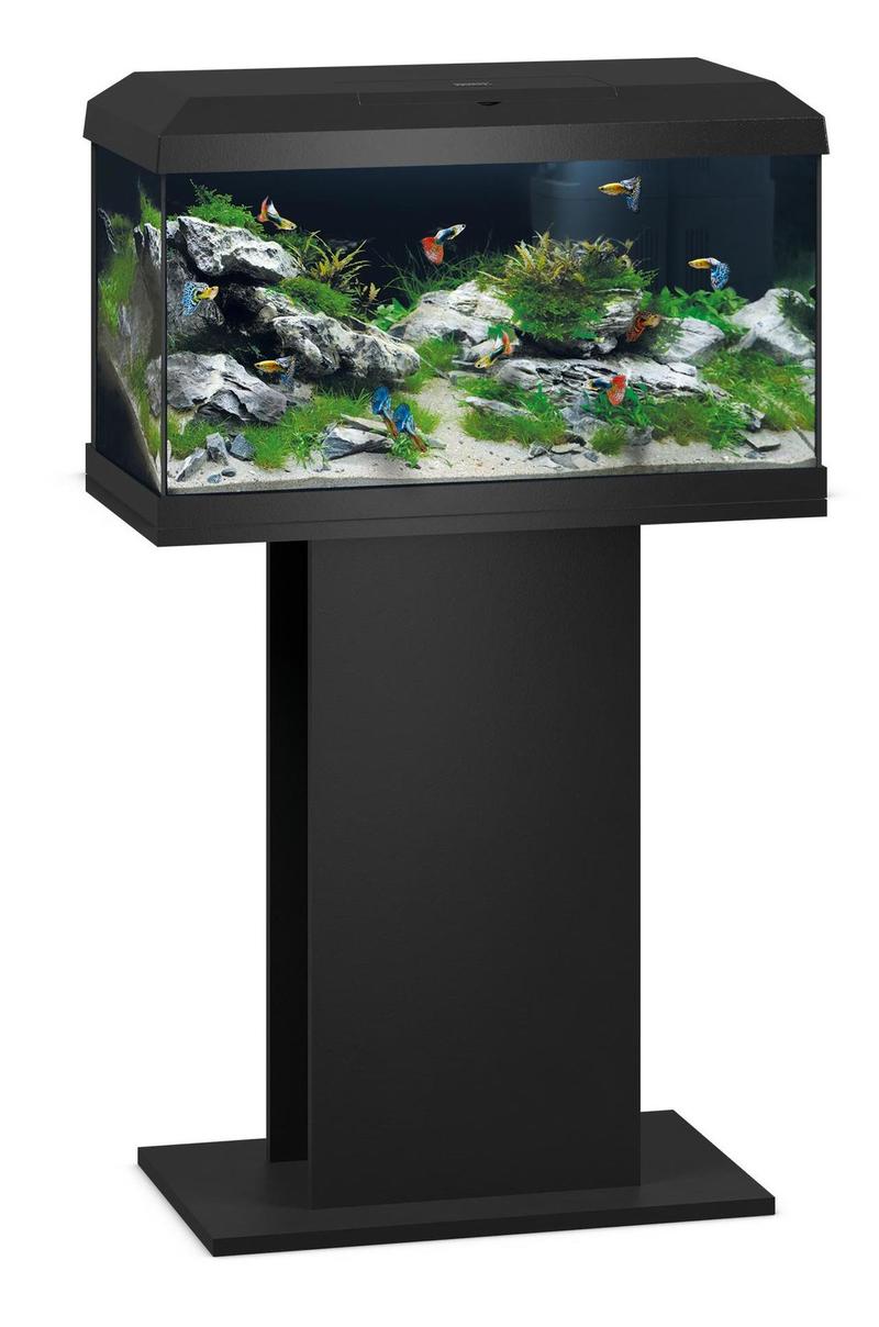 Sprzedaż rybek akwariowych