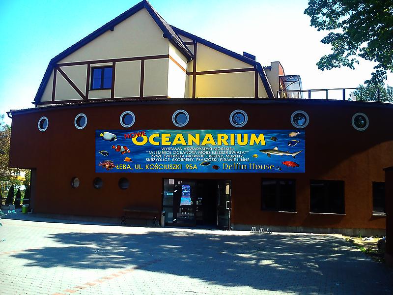 Tajemnice głębin i morskie ekosystemy