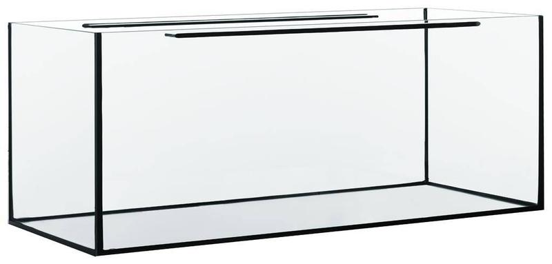 Trendy w sprzedaży rybek akwariowych