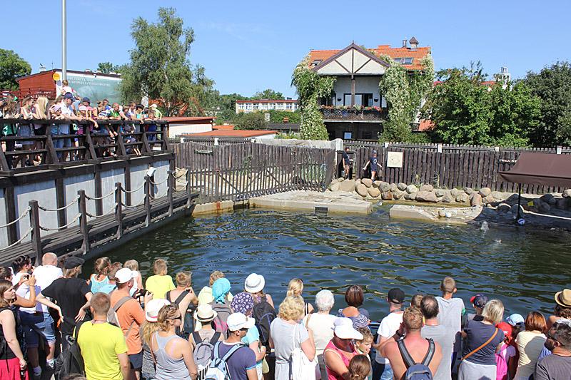 Unikalne gatunki morskie