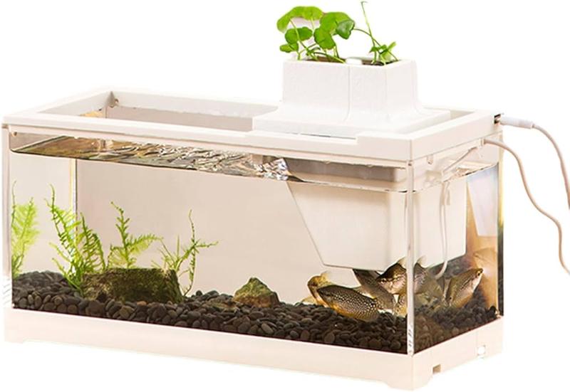 Ciche akwarium: skuteczne sposoby na wyciszenie filtru wewnętrznego