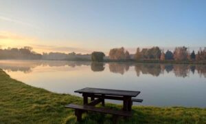 Gdzie na ryby w Mazowieckiem? Przewodnik po najlepszych łowiskach i sprawdzonych poradach