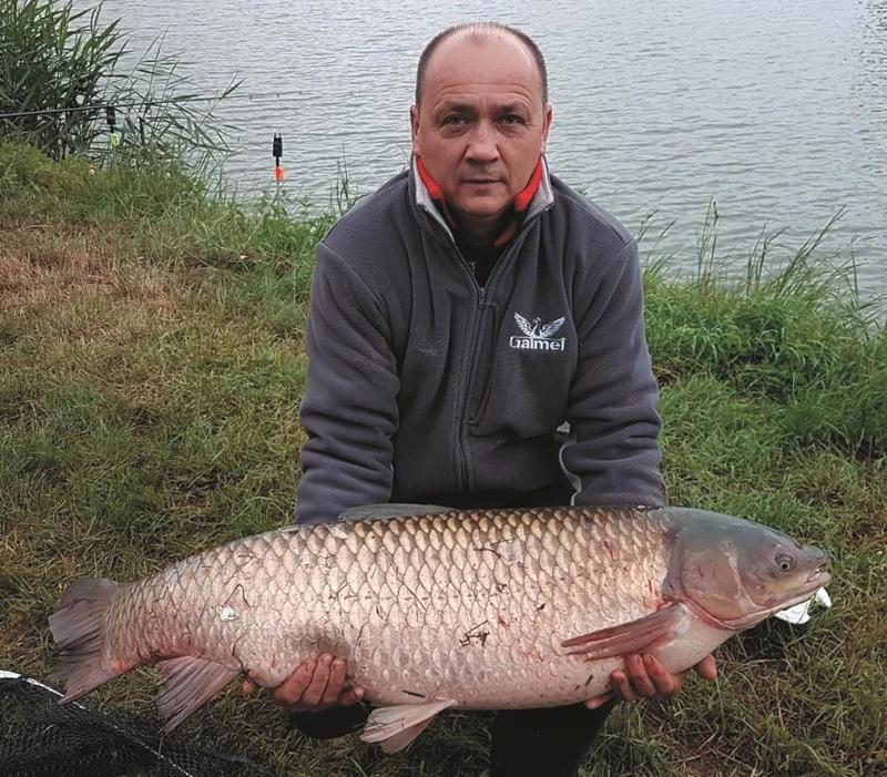 Odkryj dietę amura: czym się żywi ta fascynująca ryba w naturze?