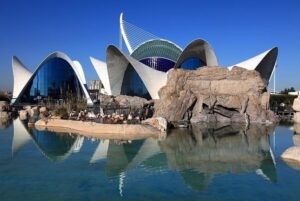 Odkryj fascynujące atrakcje Oceanarium w Walencji: Tajemnice mórz czekają na Ciebie!