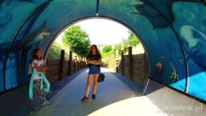 Odkryj fascynujące życie morskie w Oceanarium Władysławowo – doskonała atrakcja dla całej rodziny!