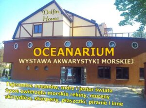 Odkryj magiczny świat oceanarium Łeba – fascynujące morskie stworzenia i edukacja dla całej rodziny